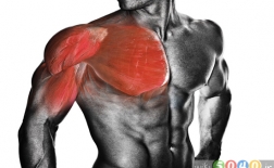 5 حرکت عالی برای پرورش عضلات سینه