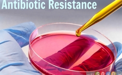 مقاومت به داروهای ضد میکروبی