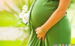 سلامت در دوران بارداری