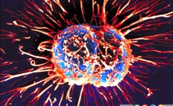 10 حقیقت درباره سلول های سرطانی