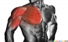 5 حرکت عالی برای پرورش عضلات سینه