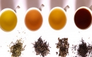 معرفی کامل چای سفید و آشنایی با انواع دیگر چای