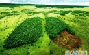 ده روش حفاظت از محیط‌زیست 
