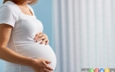 ویتامین های مهم برای بارداری 2