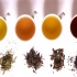 معرفی کامل چای سفید و آشنایی با انواع دیگر چای
