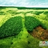 ده روش حفاظت از محیط‌زیست 