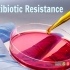 مقاومت به داروهای ضد میکروبی