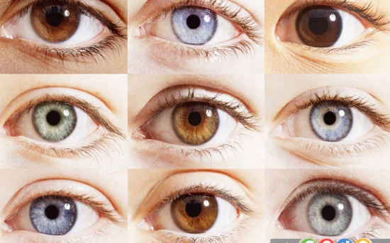 ارتباط رنگ چشم و خصوصیات فرد